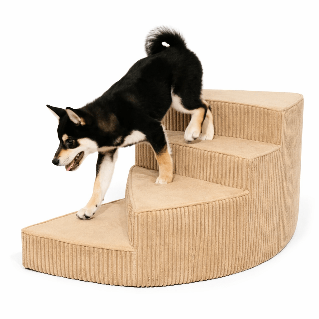 Foam Dog Stairs for Bed – Non-Slip 2 and 3 Step Pet Steps with Washable Cover - Our Family House